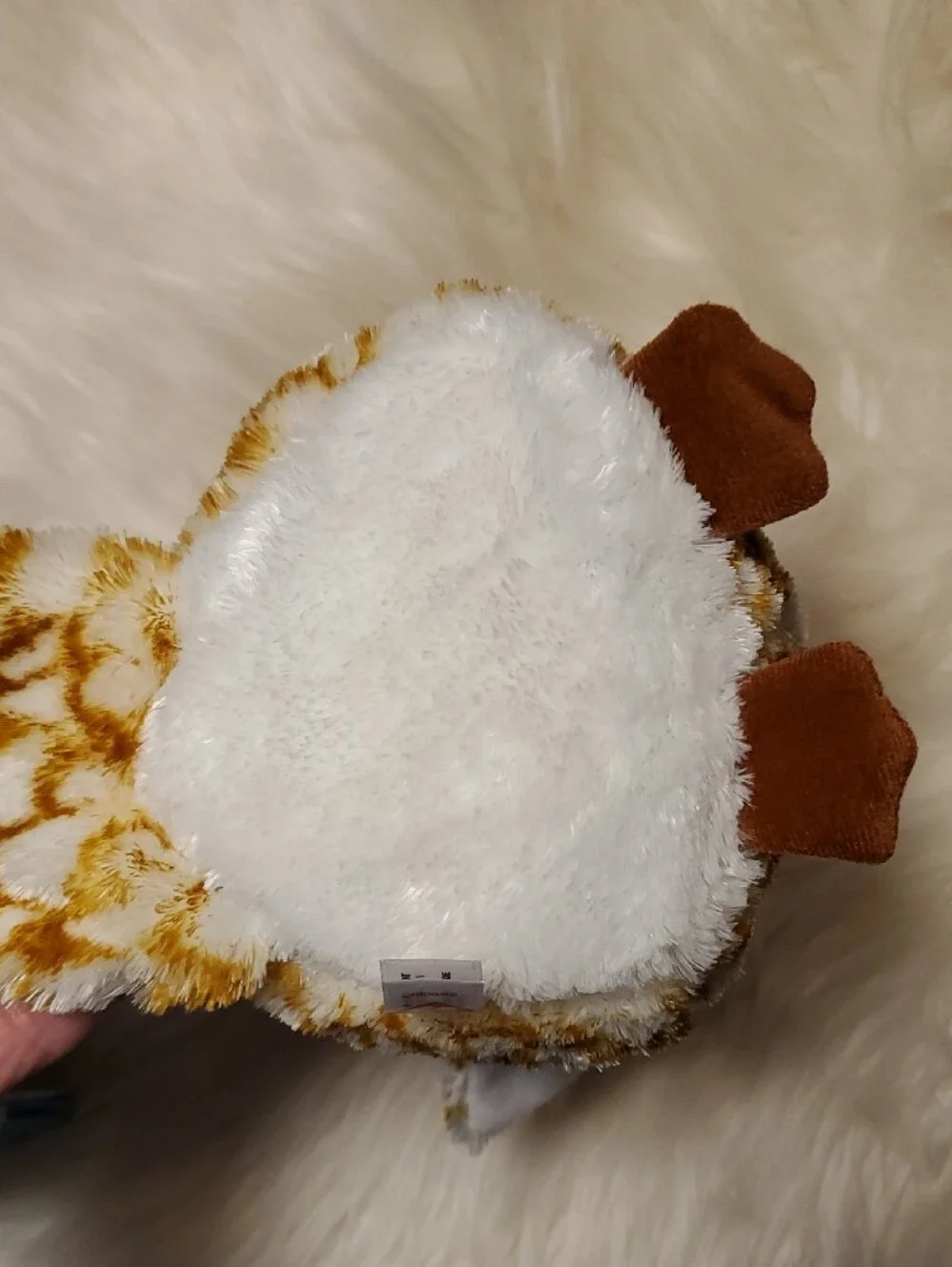 Ty Beanie Boo Owls Oscar And Swoops Pick 1